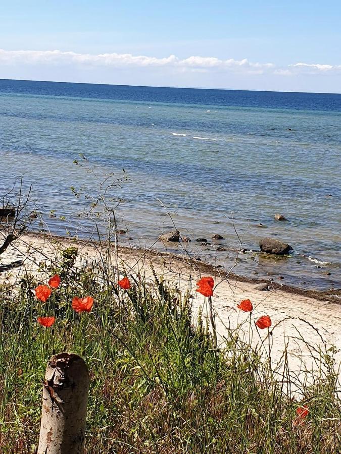 Ferienwohnung Storchenblick Zurow Eksteriør billede